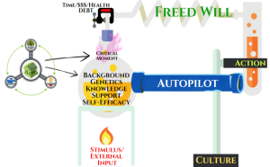 The Role of FREED Will in Health & Wellbeing